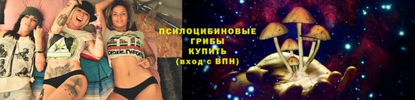 круглые Аркадак