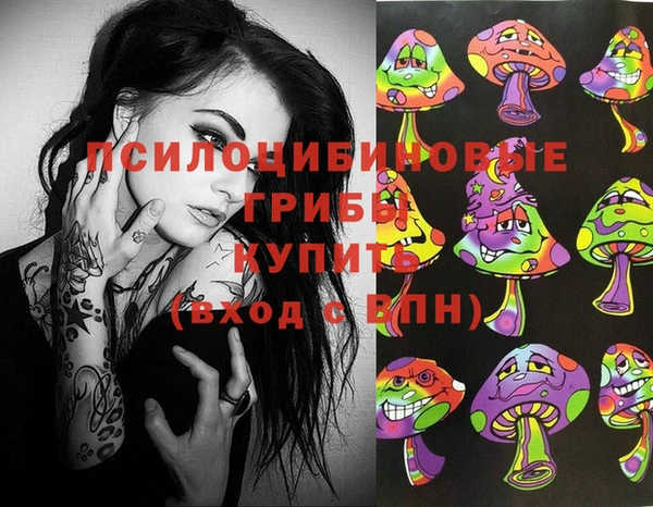 Альфа ПВП Армянск