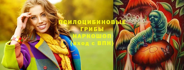 мдпв Арсеньев
