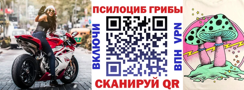 Галлюциногенные грибы Psilocybine cubensis  Хабаровск 